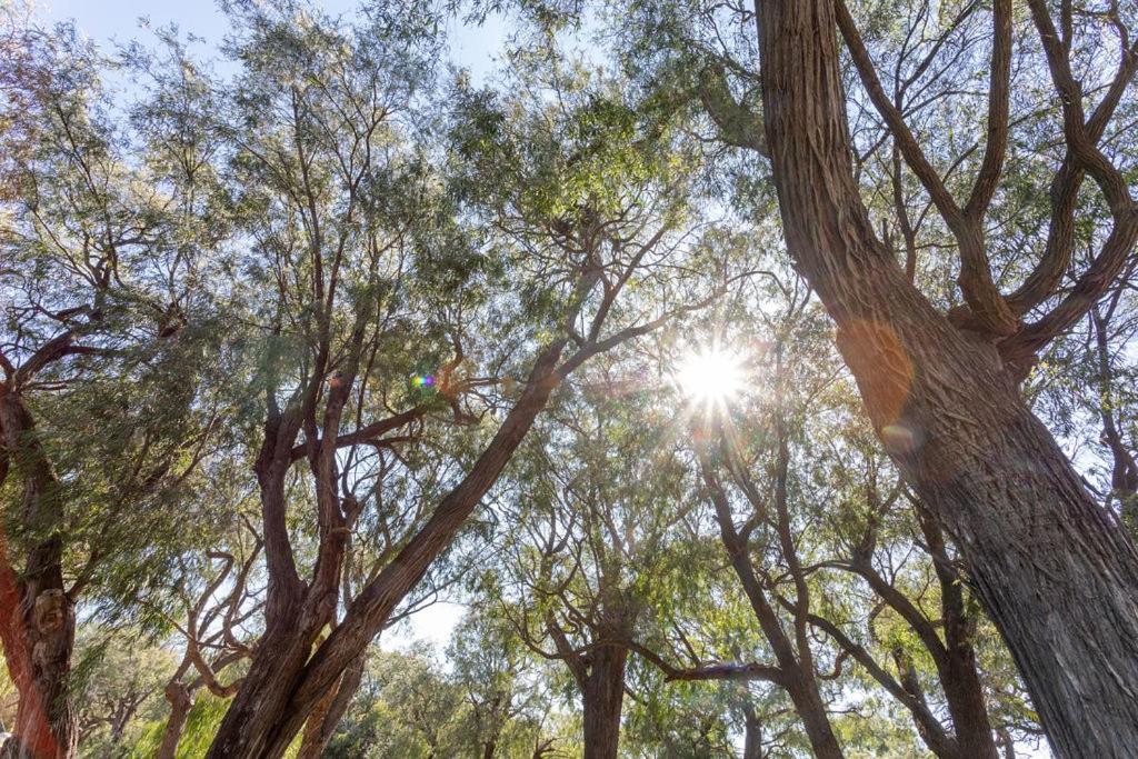 Busselton Villas And Glamping Village Exteriér fotografie